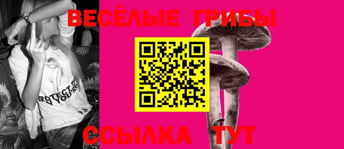 Псилоцибиновые грибы ЛСД Шатура