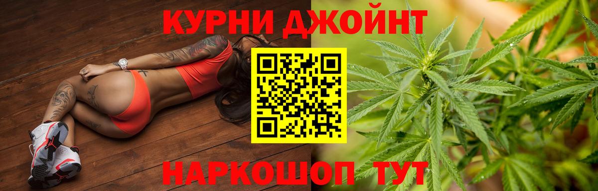 Каннабис планчик  Вход с VPN  Шатура  Шишки марихуана OG Kush  Марихуана OG Kush 